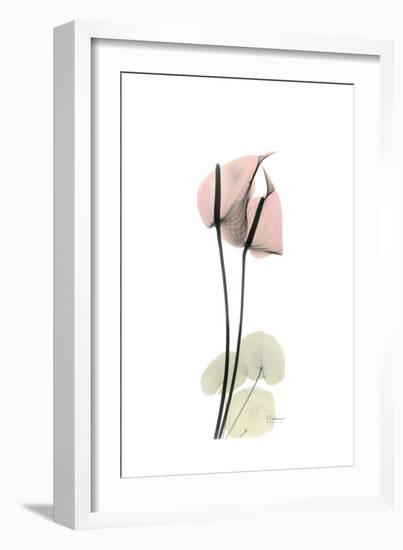 Subtle Anthurium-Albert Koetsier-Framed Premium Giclee Print