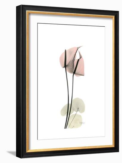 Subtle Anthurium-Albert Koetsier-Framed Premium Giclee Print