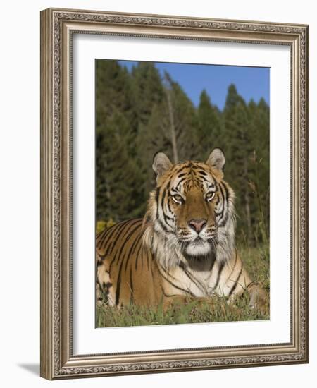 Subtle Beauty-Susann Parker-Framed Photographic Print