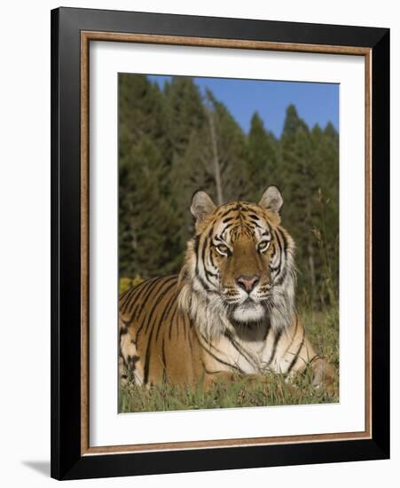 Subtle Beauty-Susann Parker-Framed Photographic Print