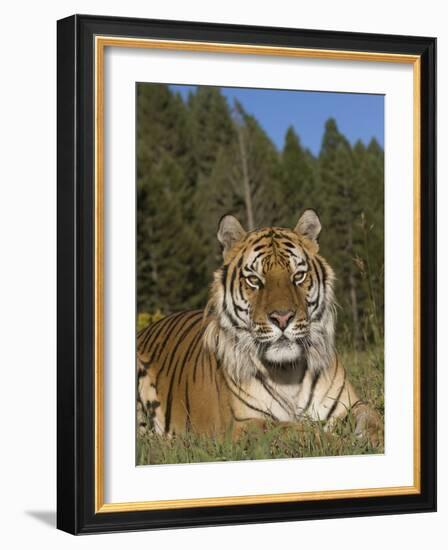 Subtle Beauty-Susann Parker-Framed Photographic Print