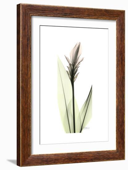 Subtle Curcuma-Albert Koetsier-Framed Premium Giclee Print