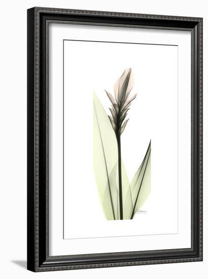 Subtle Curcuma-Albert Koetsier-Framed Premium Giclee Print