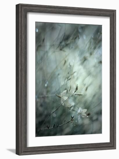 Subtlety-Delphine Devos-Framed Photographic Print