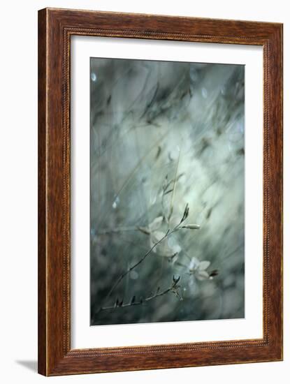 Subtlety-Delphine Devos-Framed Photographic Print