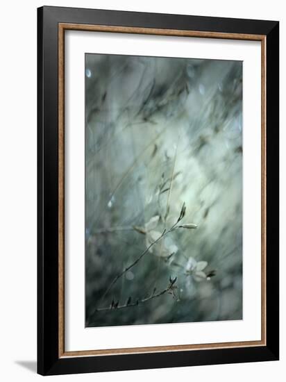Subtlety-Delphine Devos-Framed Photographic Print