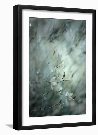 Subtlety-Delphine Devos-Framed Photographic Print