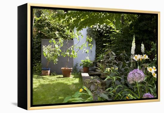 Suburban Garden Detail, Kingston Upon Thames, England, UK-Richard Bryant-Framed Stretched Canvas