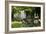 Suburban Garden Detail, Kingston Upon Thames, England, UK-Richard Bryant-Framed Photo