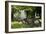 Suburban Garden Detail, Kingston Upon Thames, England, UK-Richard Bryant-Framed Photo