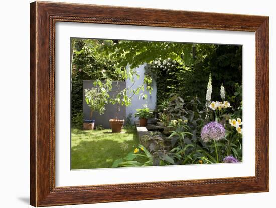 Suburban Garden Detail, Kingston Upon Thames, England, UK-Richard Bryant-Framed Photo