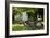 Suburban Garden Detail, Kingston Upon Thames, England, UK-Richard Bryant-Framed Photo