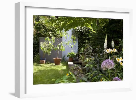 Suburban Garden Detail, Kingston Upon Thames, England, UK-Richard Bryant-Framed Photo