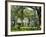 Suburban House in Antibellum Style of Architecture, Mobile, Alabama, USA-Anthony Waltham-Framed Photographic Print