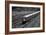 Subway 7 Train Queens NYC-null-Framed Photo