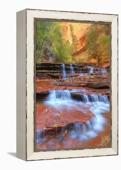 Subway Cascades and Approach at Zion-Vincent James-Framed Premier Image Canvas