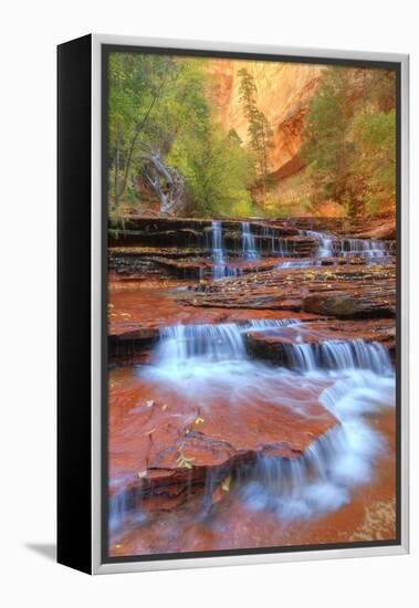 Subway Cascades and Approach at Zion-Vincent James-Framed Premier Image Canvas