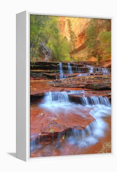 Subway Cascades and Approach at Zion-Vincent James-Framed Premier Image Canvas