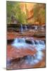 Subway Cascades and Approach at Zion-Vincent James-Mounted Photographic Print