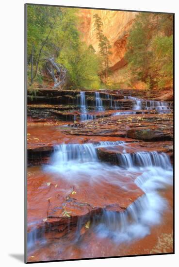 Subway Cascades and Approach at Zion-Vincent James-Mounted Photographic Print