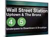 Subway Station Sign, Wall Street Station, Manhattan, New York City, United States-Philippe Hugonnard-Mounted Photographic Print