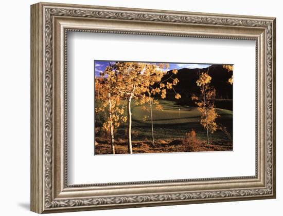 Success: Golf II-null-Framed Art Print