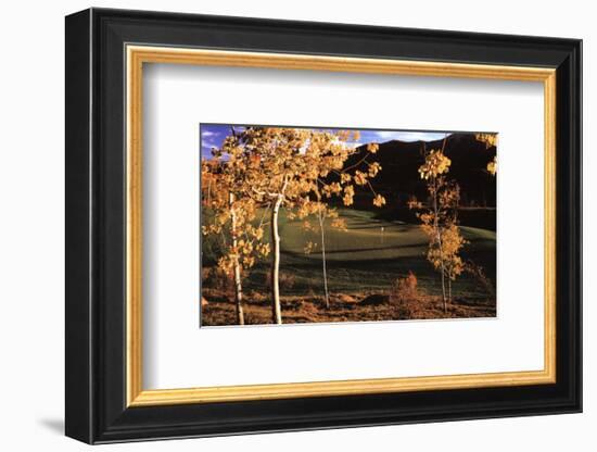 Success: Golf II-null-Framed Art Print