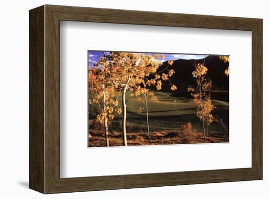 Success: Golf II-null-Framed Art Print