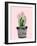 Succulant D-Boho Hue Studio-Framed Art Print