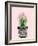 Succulant D-Boho Hue Studio-Framed Art Print