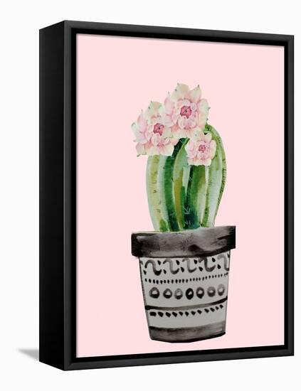 Succulant D-Boho Hue Studio-Framed Stretched Canvas