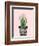 Succulant D-Boho Hue Studio-Framed Premium Giclee Print