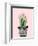 Succulant D-Boho Hue Studio-Framed Premium Giclee Print