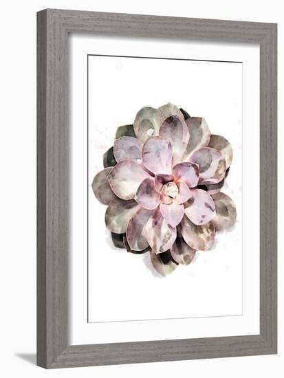 Succulent 01-1x Studio II-Framed Giclee Print