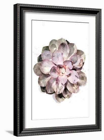 Succulent 01-1x Studio II-Framed Giclee Print