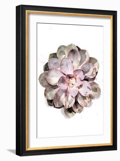 Succulent 01-1x Studio II-Framed Giclee Print