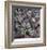 Succulent 13-Ken Bremer-Framed Limited Edition