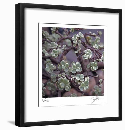 Succulent 13-Ken Bremer-Framed Limited Edition