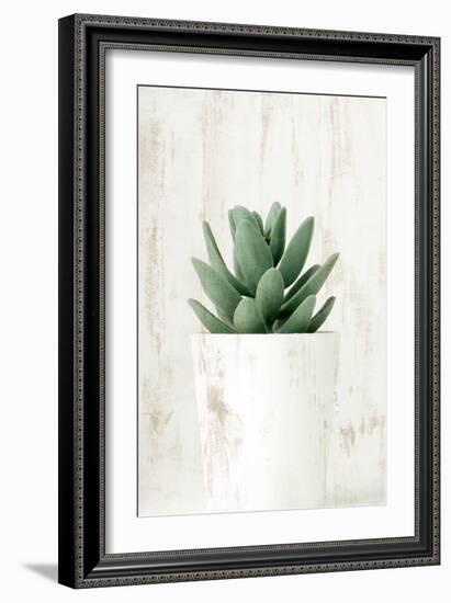 Succulent 1-Kimberly Allen-Framed Art Print