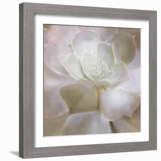 Succulent 2-Kimberly Allen-Framed Photo