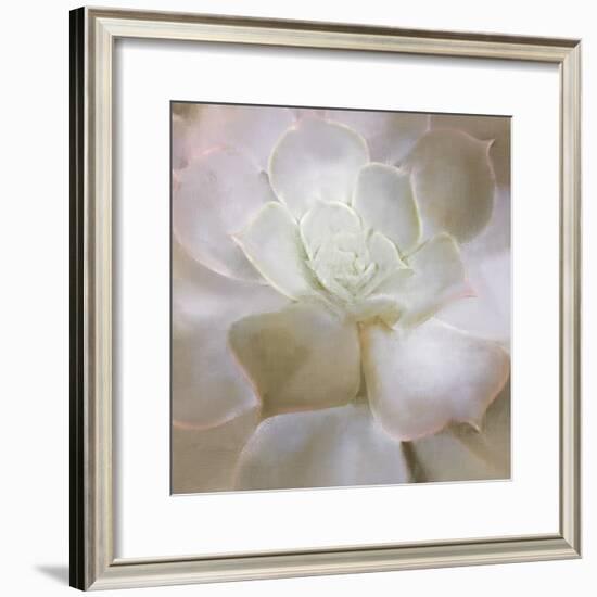 Succulent 2-Kimberly Allen-Framed Photo