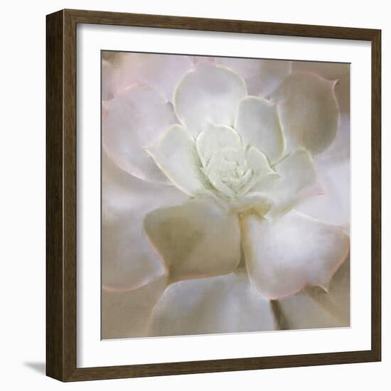 Succulent 2-Kimberly Allen-Framed Photo