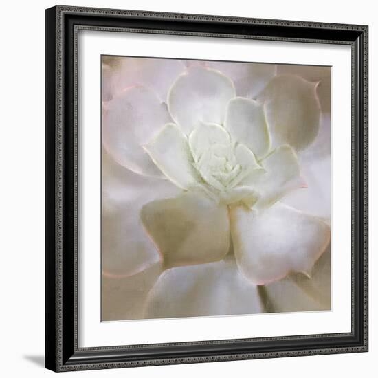 Succulent 2-Kimberly Allen-Framed Photo