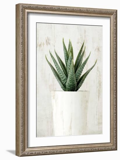 Succulent 2-Kimberly Allen-Framed Art Print