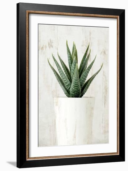 Succulent 2-Kimberly Allen-Framed Art Print