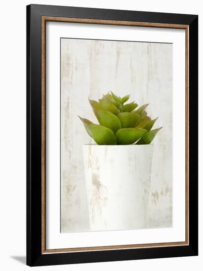 Succulent 3-Kimberly Allen-Framed Art Print