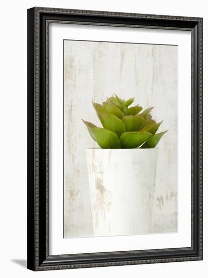 Succulent 3-Kimberly Allen-Framed Art Print