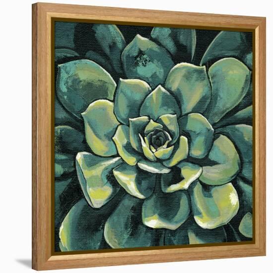 Succulent Bloom I-Megan Meagher-Framed Stretched Canvas