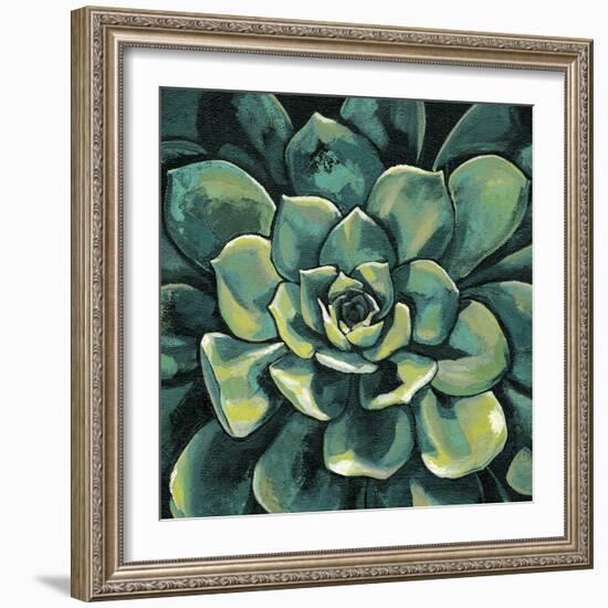 Succulent Bloom I-Megan Meagher-Framed Art Print