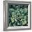 Succulent Bloom I-Megan Meagher-Framed Art Print